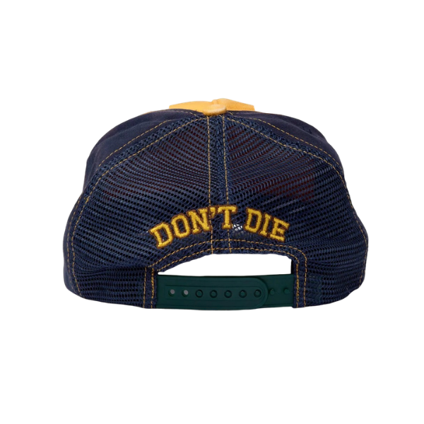HMDD Green Distressed Hat